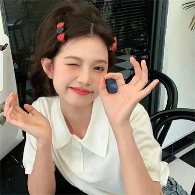 杜宾专员：敌人的姐妹